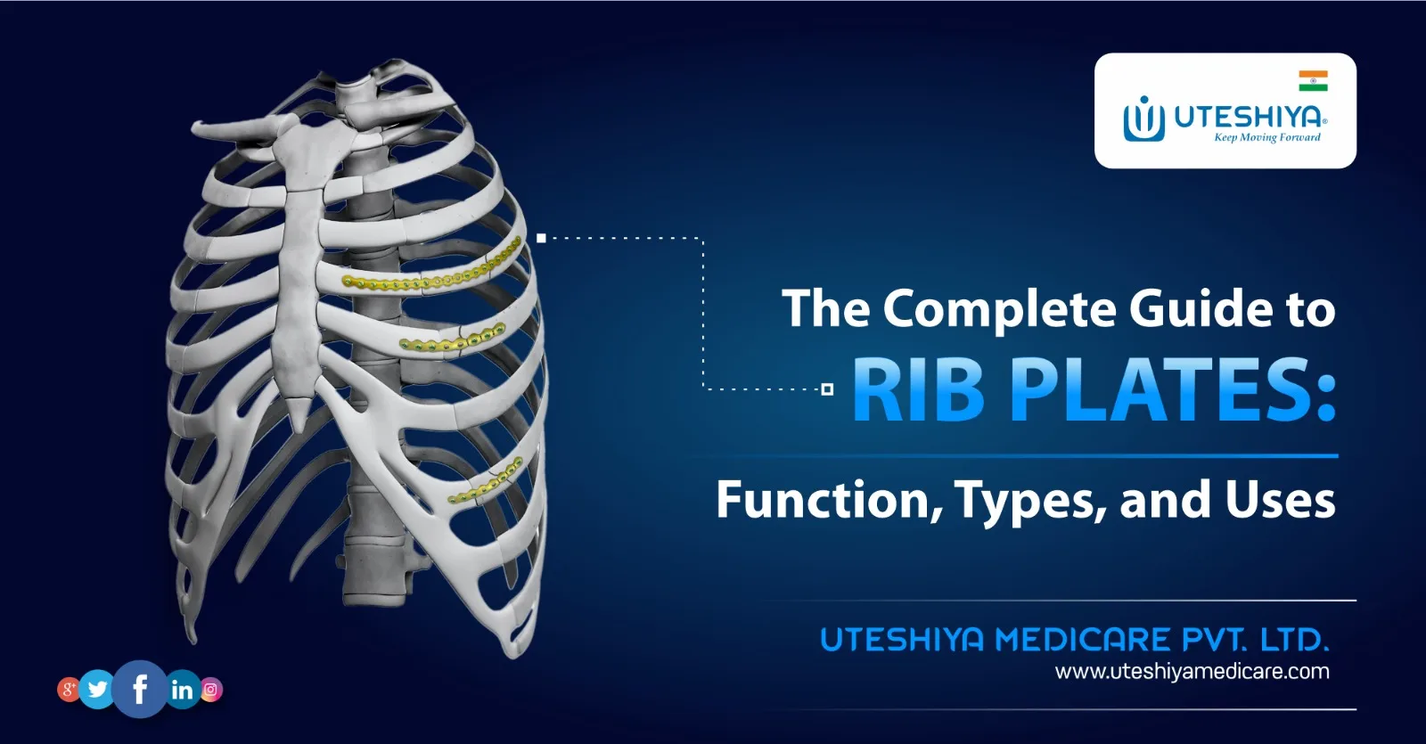 The Complete Guide to Rib Plates Function, Types, and Uses